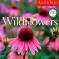 calendar with wildflowers, wildflower pictures, fields of wildflowers calendar, wild flower calendar, wild flowers calendar